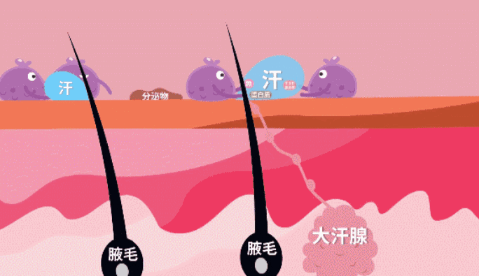 原理1.gif