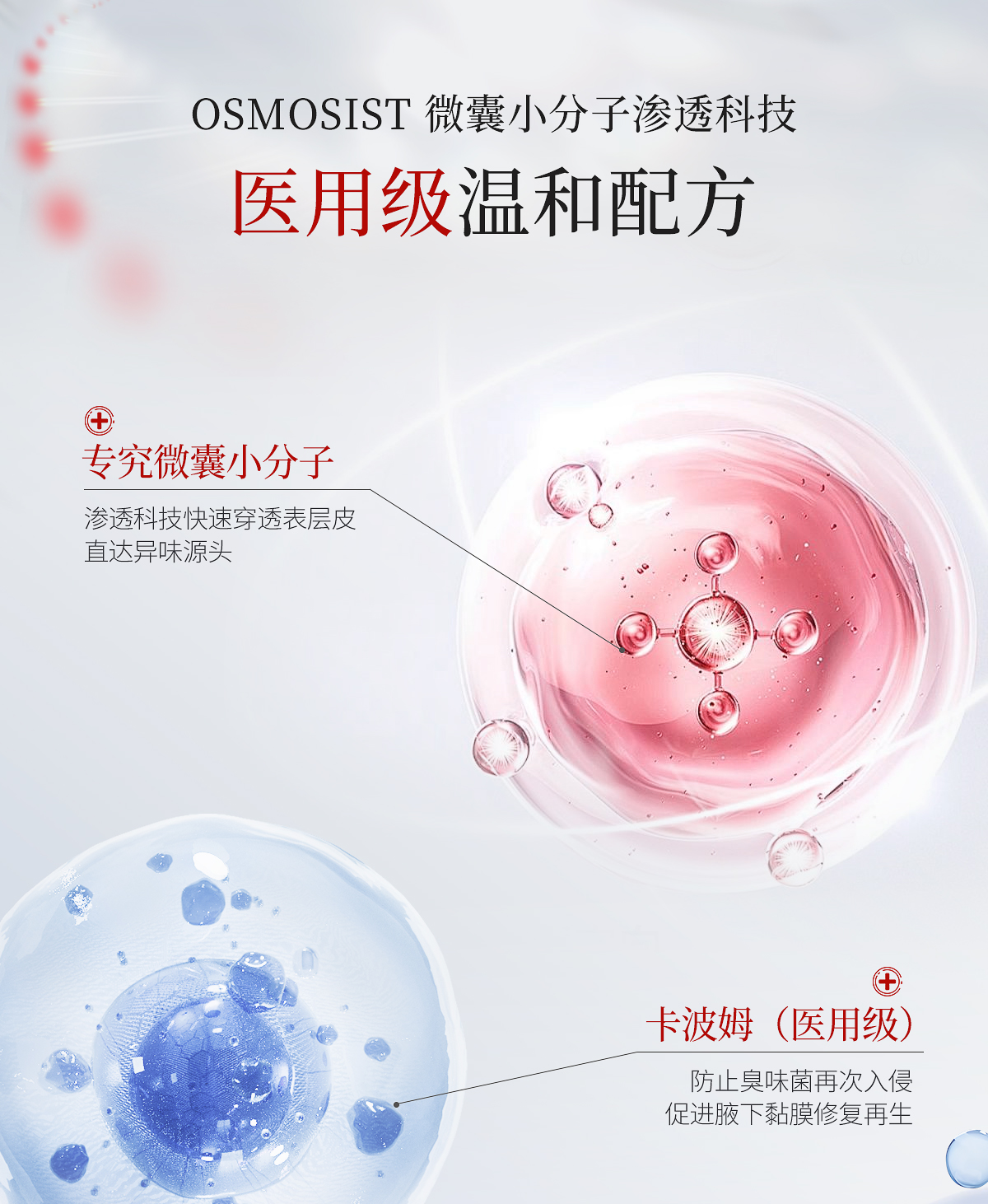 净萃然第二代医用腋下精华_08.jpg